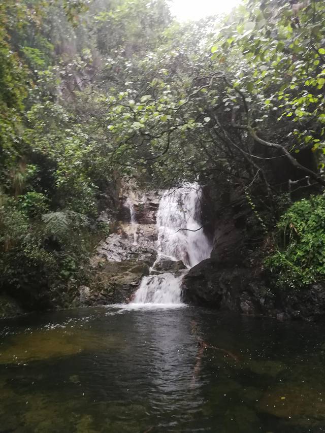 肇庆七星岩鼎湖山自助游,肇庆鼎湖山和七星岩相距多远
