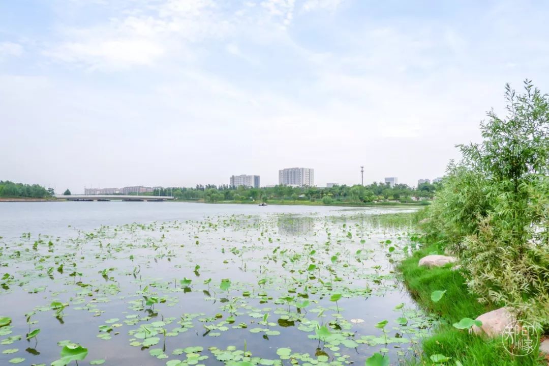 龙子湖沙滩游乐场在什么位置,蚌埠龙子湖网红沙滩多少钱