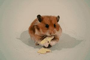 为什么乐事的薯片那么酥脆,乐事薯片容易碎