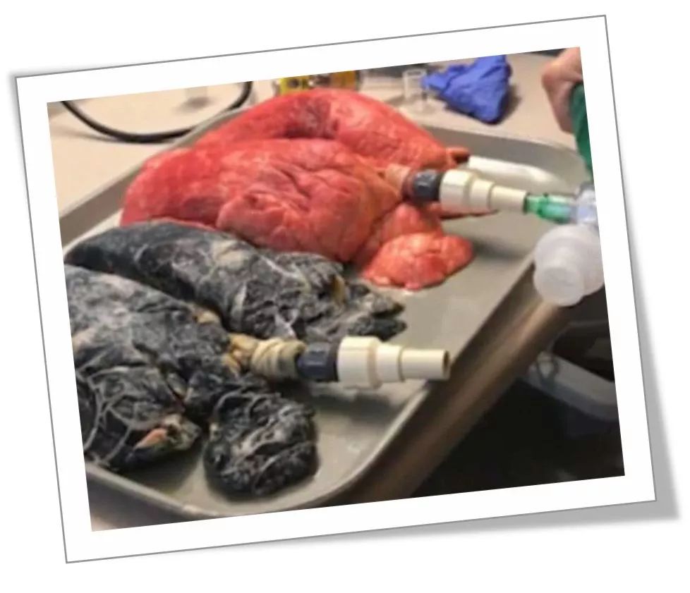 陈荣昌福建,陈荣昌广东