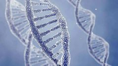 9102年了，学习也要玩“跨界”|赠书