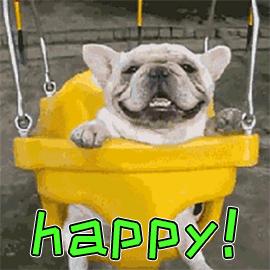 塘厦下周有什么好玩的,东莞塘厦周末好去处有哪些