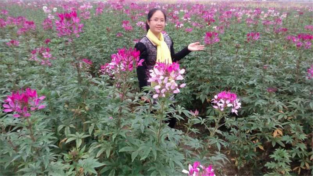 佛山市三水区重点小学,三水区比较好的小学