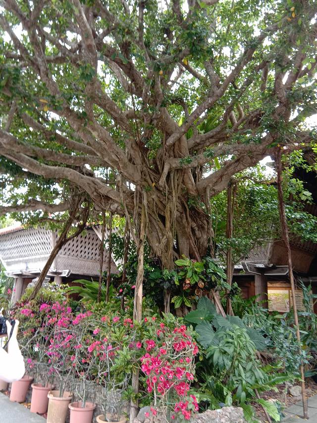 冲绳岛上的人间仙境,冲绳城市