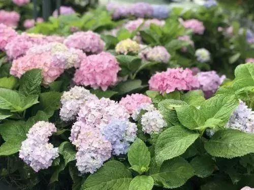 高手在民间决赛,贵州摄影比赛有哪些