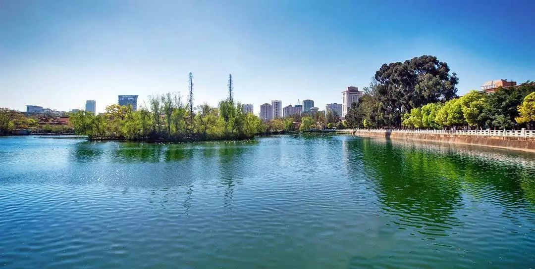 城味|翠湖：蕴含文化的“眼睛”更灵动