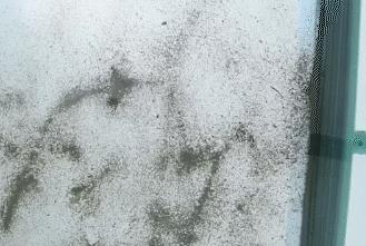 免手洗的拖把，地板干净不脏手，轻松搞定家务事