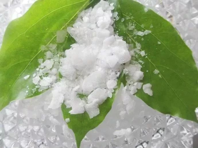 保湿、消炎、止痒、晒后修复,一管芦荟胶全搞定,宝宝也能用