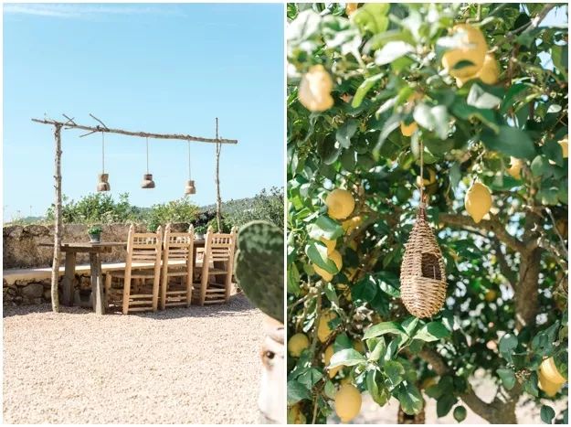 从狗仔到时装精从富婆到大明星|都爱这座神岛