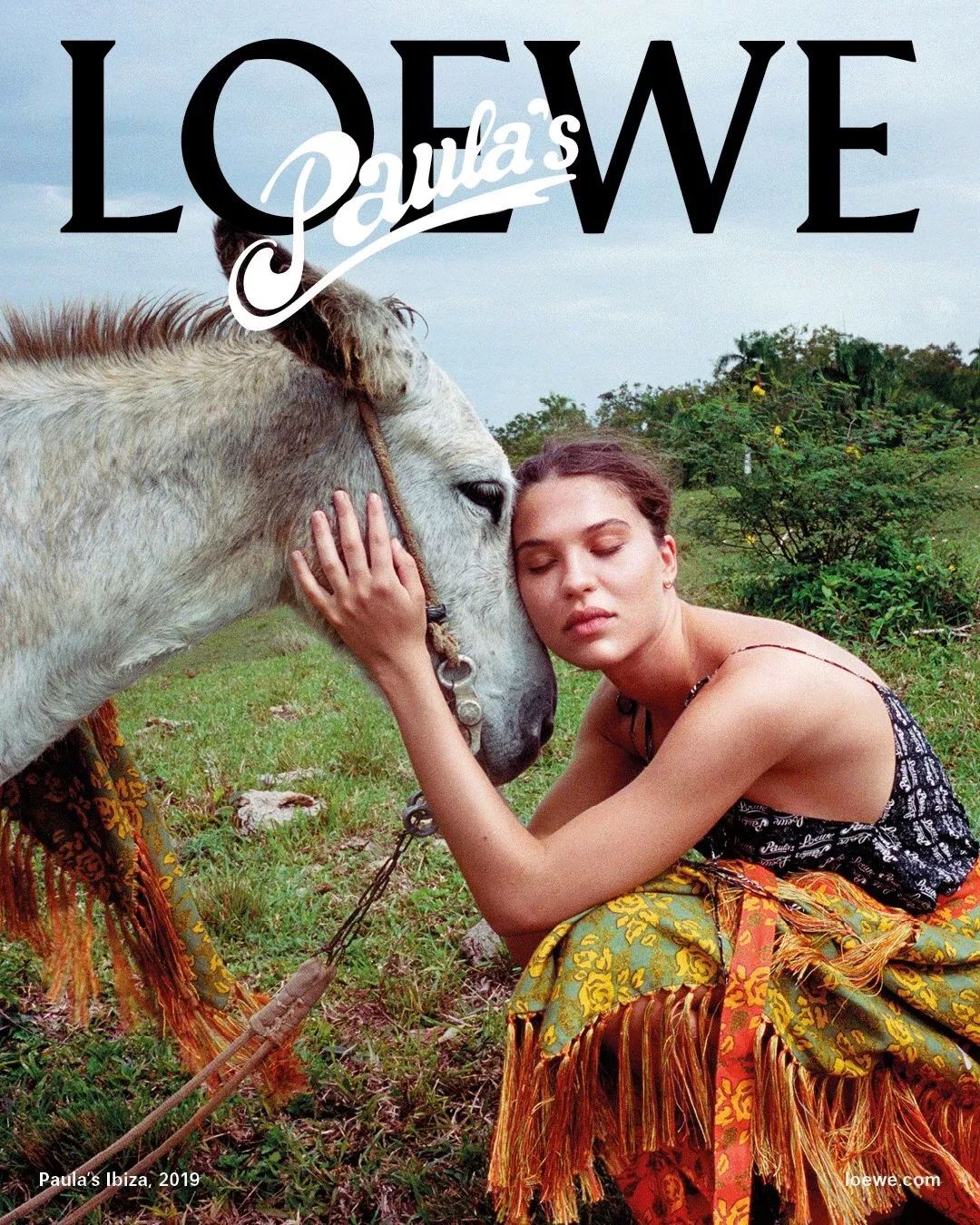 从狗仔到时装精从富婆到大明星|都爱这座神岛