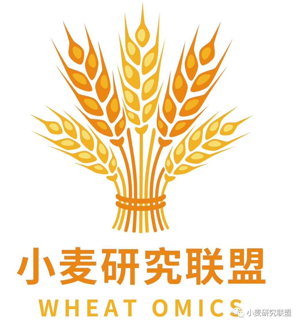 如何绘制交叉网状图,怎么快速画线性图