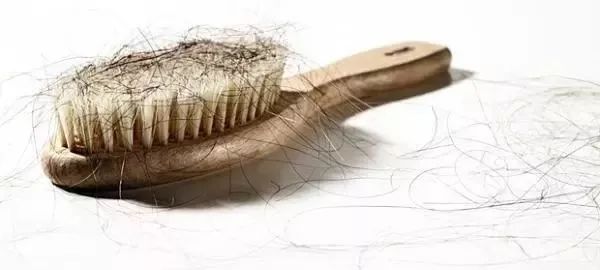 头皮除螨虫神器哪种好用,除头螨头屑小窍门