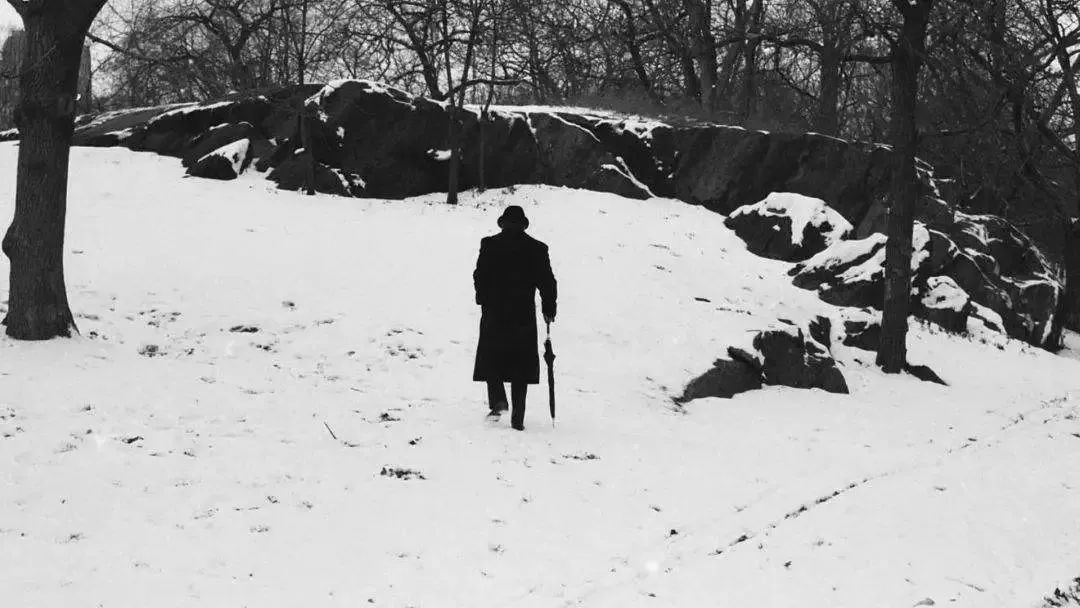 音乐和文学这对CP，我爱了