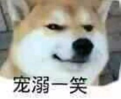 十大最忠诚的狗狗排行榜,十大最好养最忠诚的狗狗