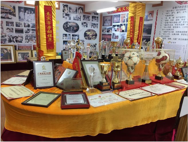 广西的旅游广告语,宣传广西优秀的广告语