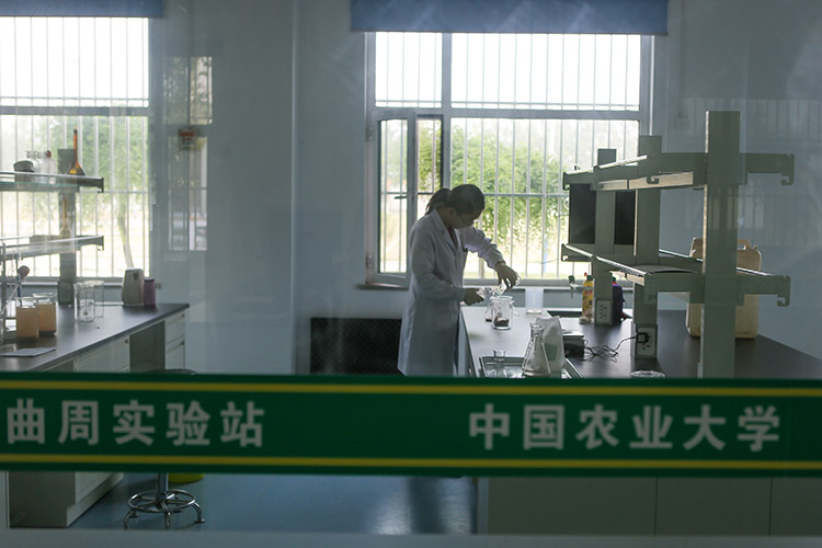 46年扎根河北曲周他们把“老碱窝”变成“米粮川”