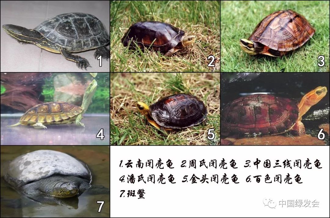 志愿者保护环境文稿题目,志愿者护河活动新闻稿