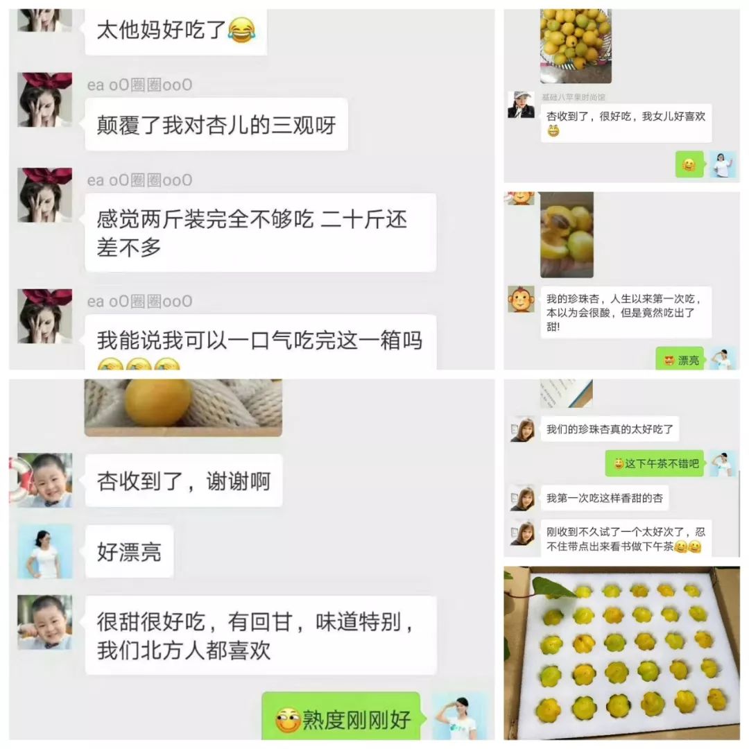 果期仅15天，*安泰**半野生珍珠杏！一口咬下满满桂花香，从牙齿蜜甜到腰！|吃货精选