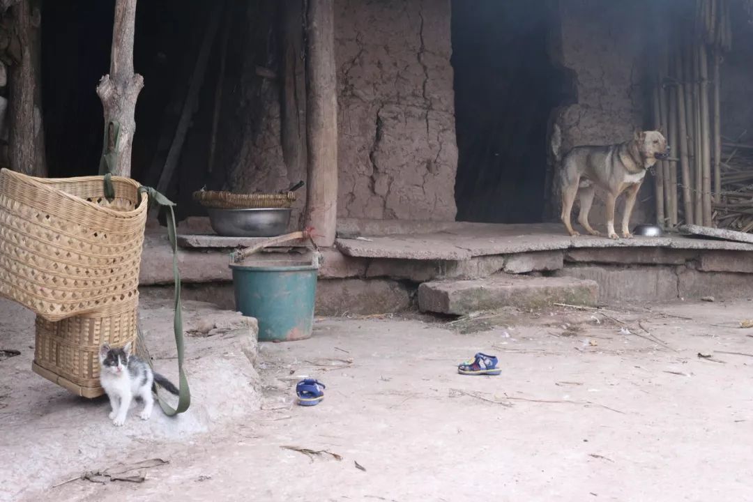 千金难买早知道世上没有后悔药,千金难买早知道案例