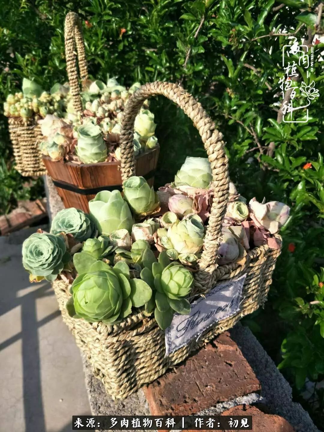 紧张的高三生活也需要适度的放松,紧张焦虑高考