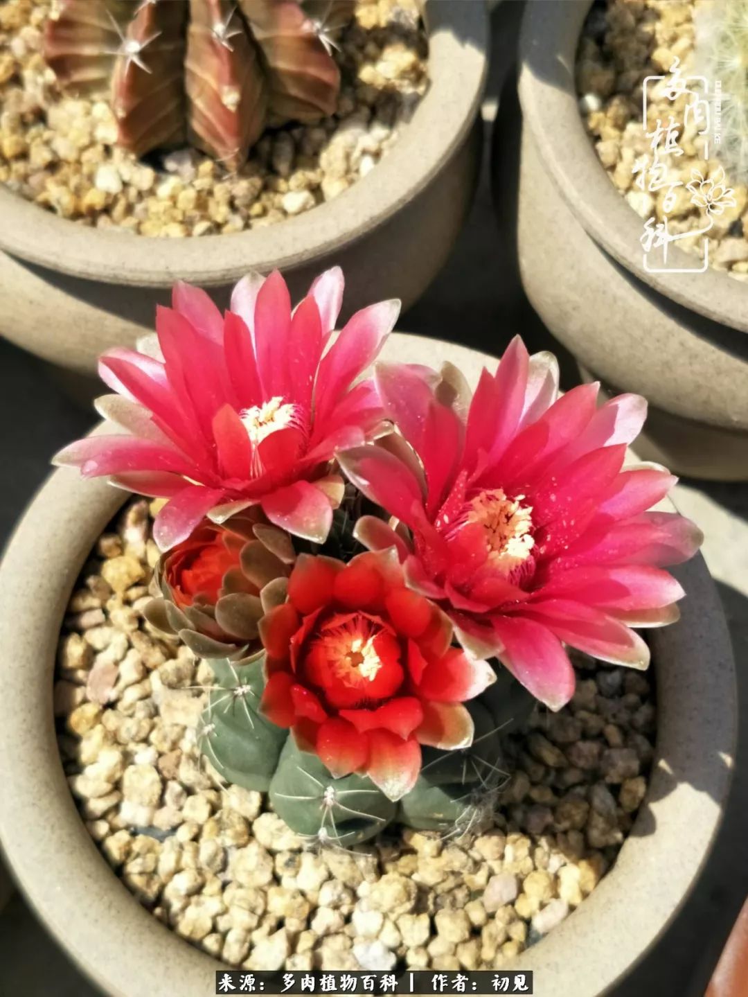 紧张的高三生活也需要适度的放松,紧张焦虑高考