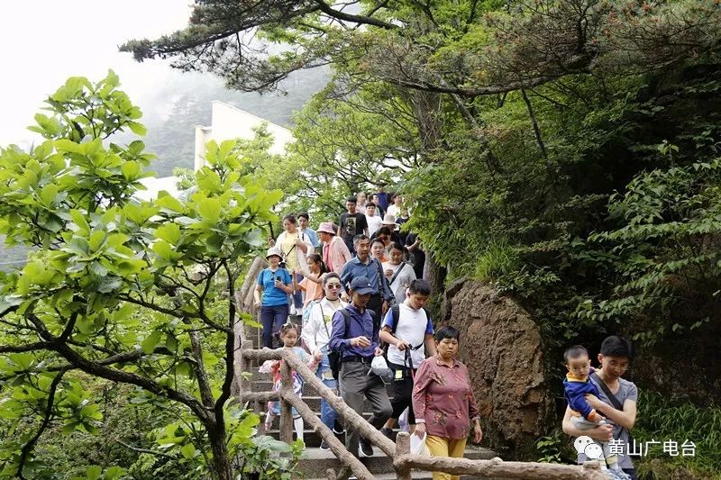 黄山自然山水风光美图,黄山美图高清图片大全