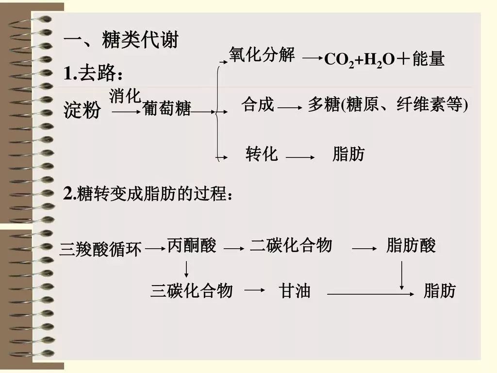 中年发福是什么,中年人发福的感受