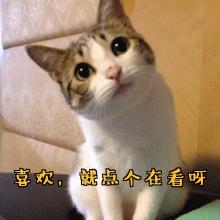 可乐到底有多神奇,3块钱的可乐喝一口永远值两块九