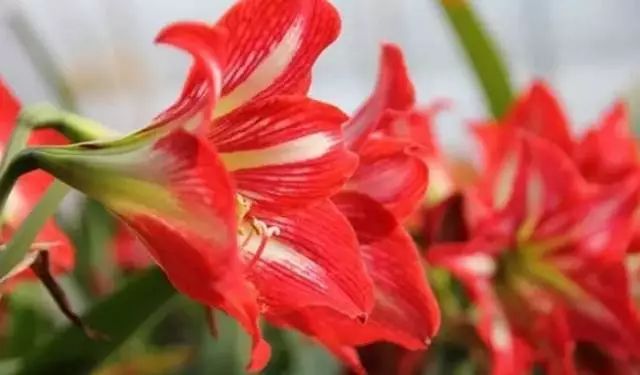 高考沈阳高校,高考沈阳志愿