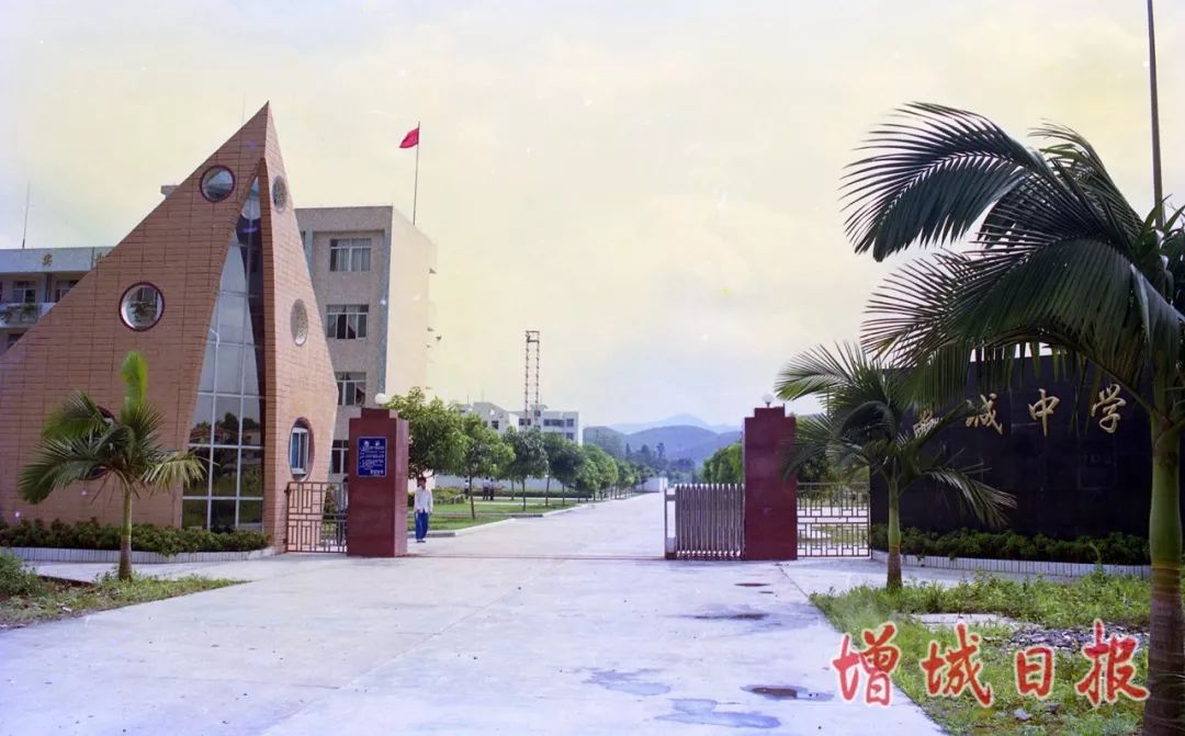 60张照片回忆成长,60多张老照片的回忆