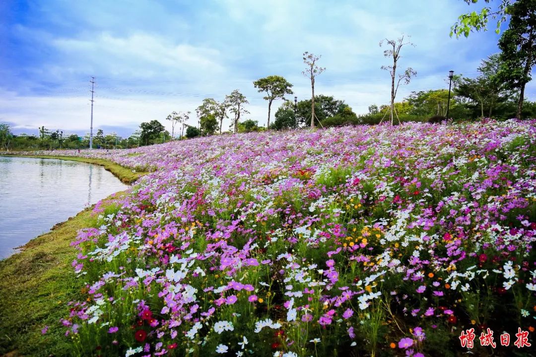 60张照片回忆成长,60多张老照片的回忆