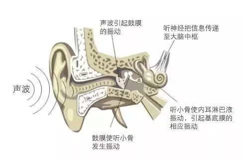 中医养生音乐全集,中医养生音乐十大名曲