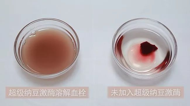 小编推荐一些健康食物,溶栓降脂吃什么好