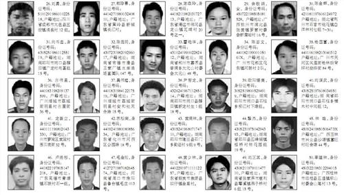 怎样查询警方通缉在逃人员,怎样查询网上通缉在逃人员名单