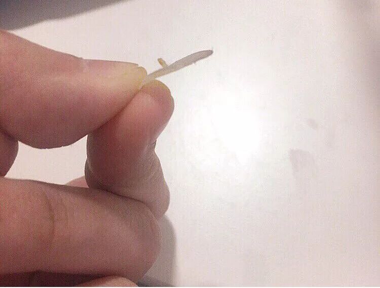 omg贵不贵,omg原价201元