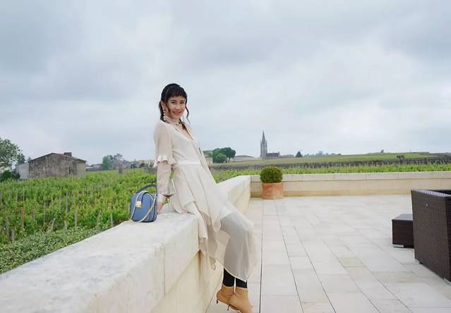 波尔多红酒美景,法国巴黎的红酒