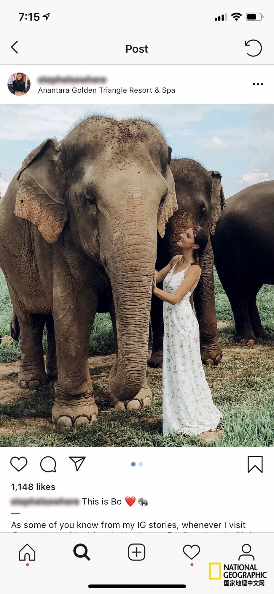 濒临灭绝的野生动物表演,动物表演的背后有多残忍