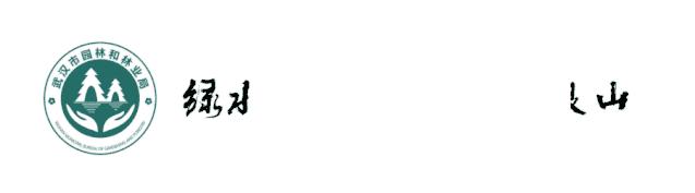 军运会开幕啦！去青山绿水间看比赛