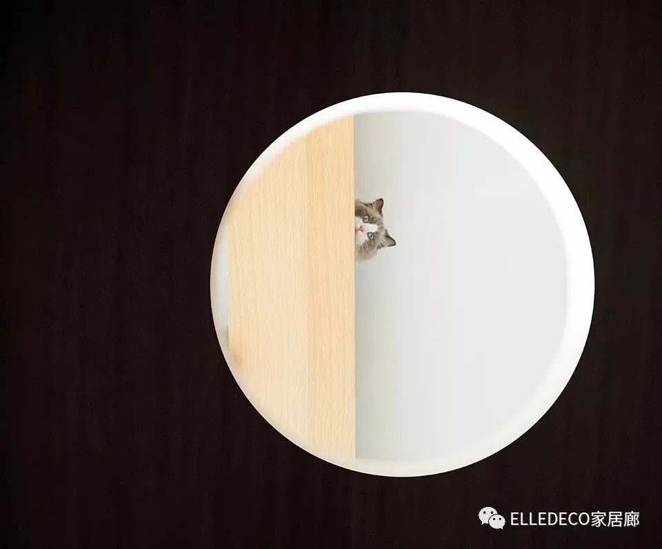 一家人住毛坯房上瘾,一个人住久了会怒吗