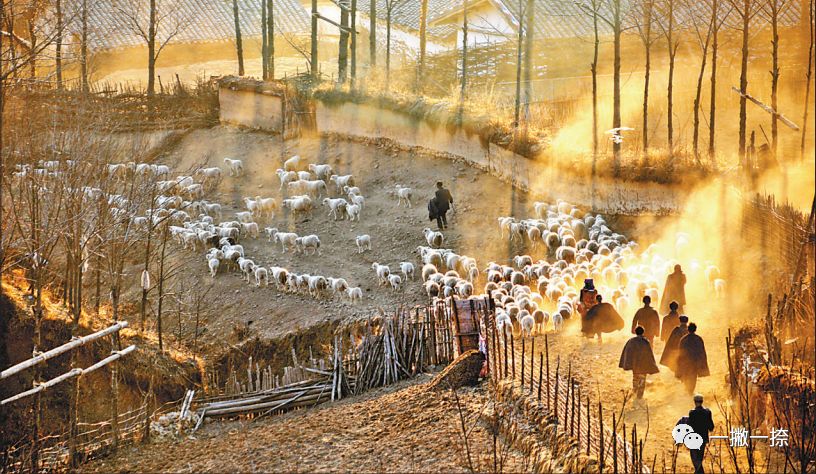 人民日报最经典照片,人民日报最惊艳的图片