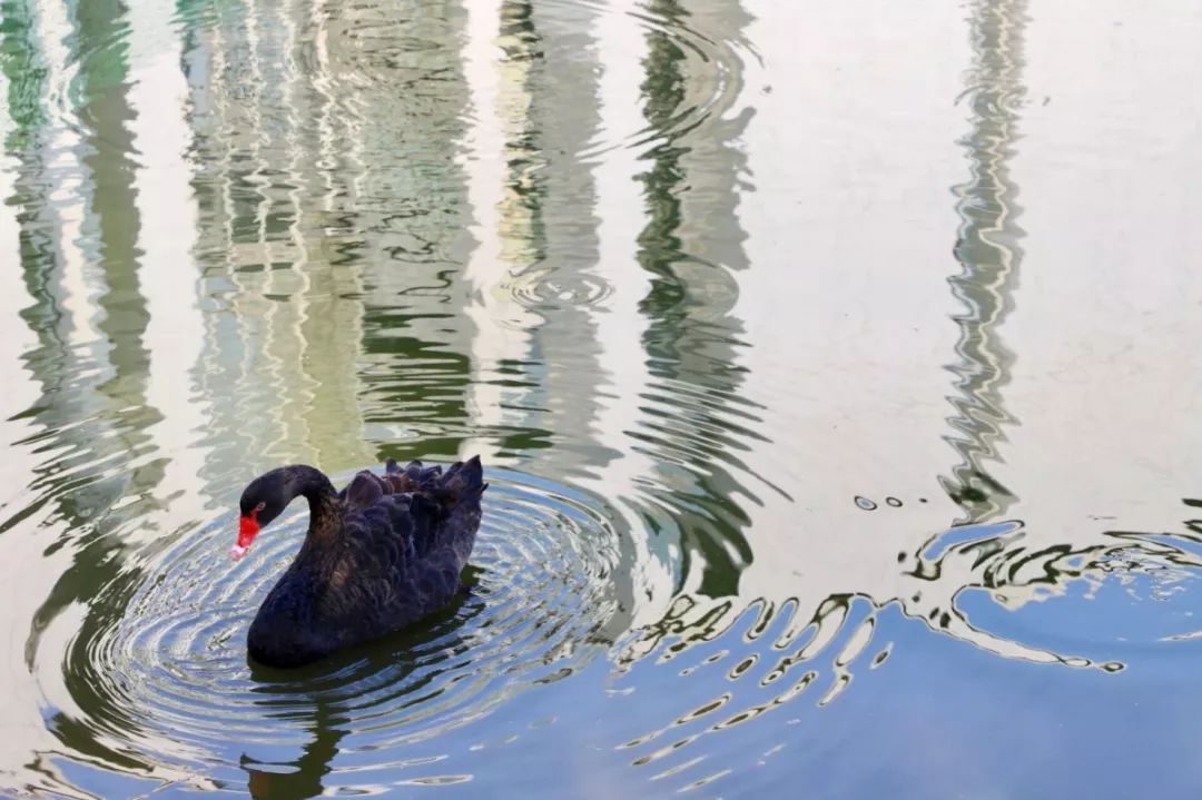 瀹夊笀澶ц瓒呰秺瀹夊ぇ,瀹夊笀澶у畨鍐滃ぇ