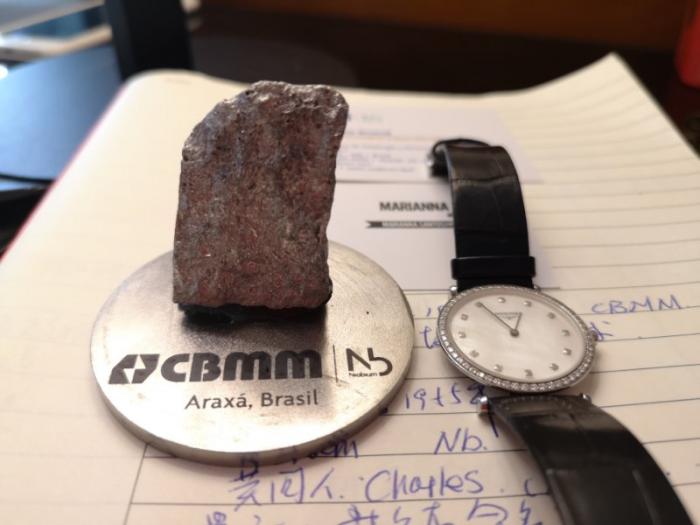 2019年6月9日巴西第29天：巴西铌与中国钢铁产业的故事（上）