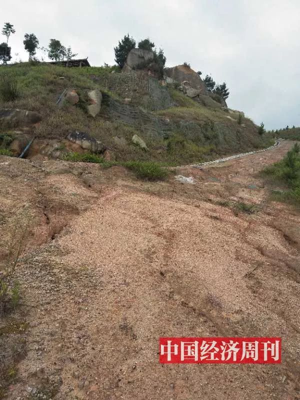 来自一线的*土稀**调查：美国为什么急了？