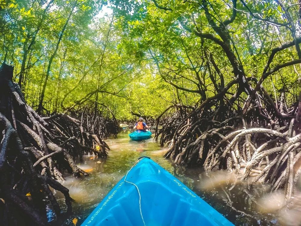如何在旅行中省钱买到便宜的机票,旅行达人教你如何购买超低价机票