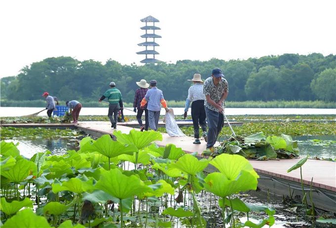 视觉一周,视觉眼镜张家港