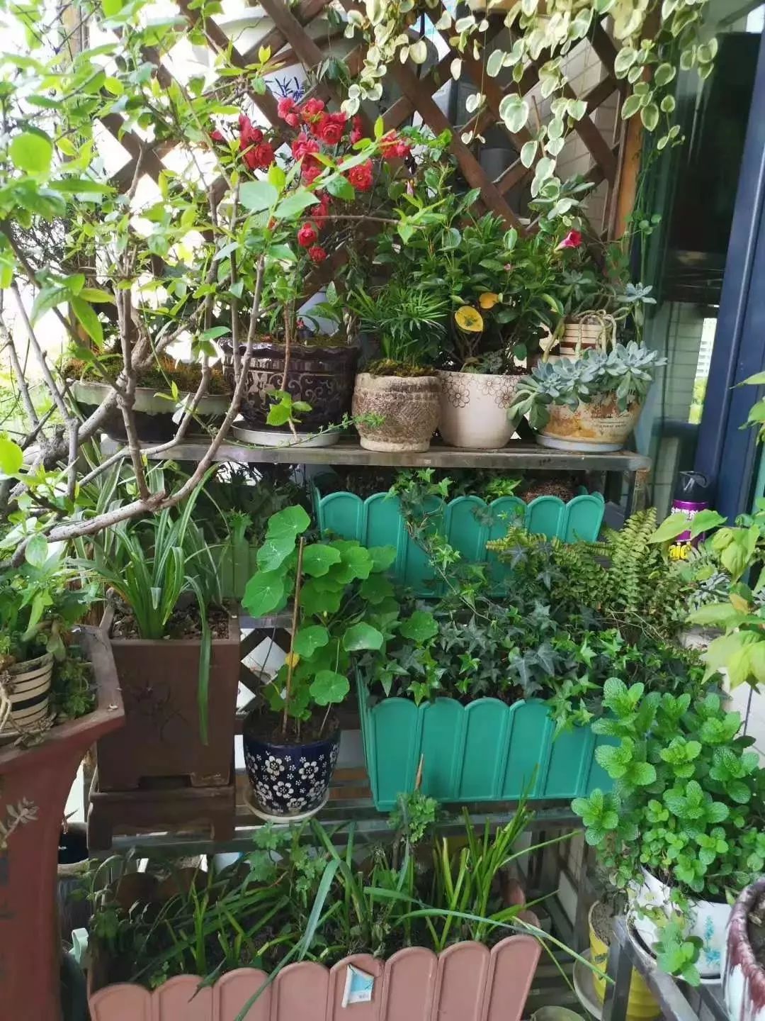 打造美好幸福的家,打造一片天地