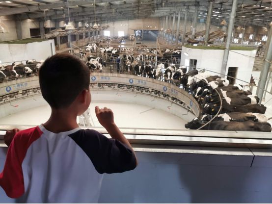 甯﹀瀛愬埌澶箹鑺辨捣缃戠孩鎵撳崱,鍋囨湡甯﹀瀛愭父婊ㄦ捣婀捐姳娴烽噷