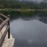 招商南油股吧同花顺,招商南油历史最高价