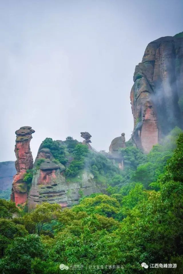 语言大多数是假的经历才是真的,语言很多时候都是假的句子