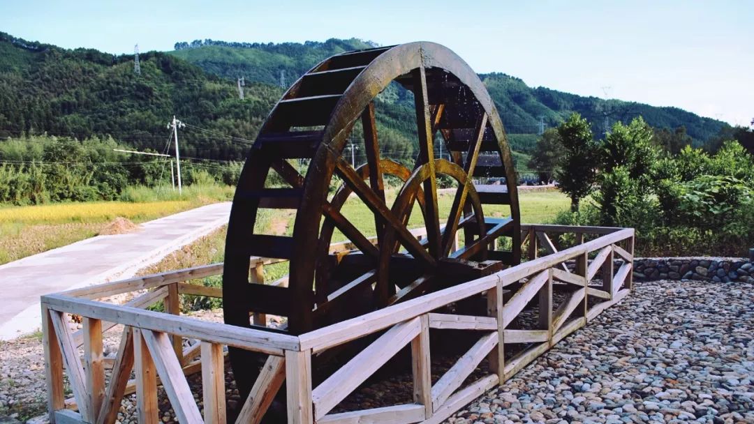 在宁德洋头，过了一段忘不掉的小生活！